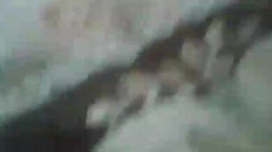 Beautiful instagram girl viral blowjob MMS hindi